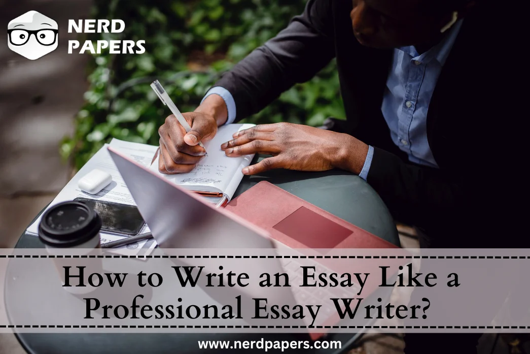 how to become a professional essay writer