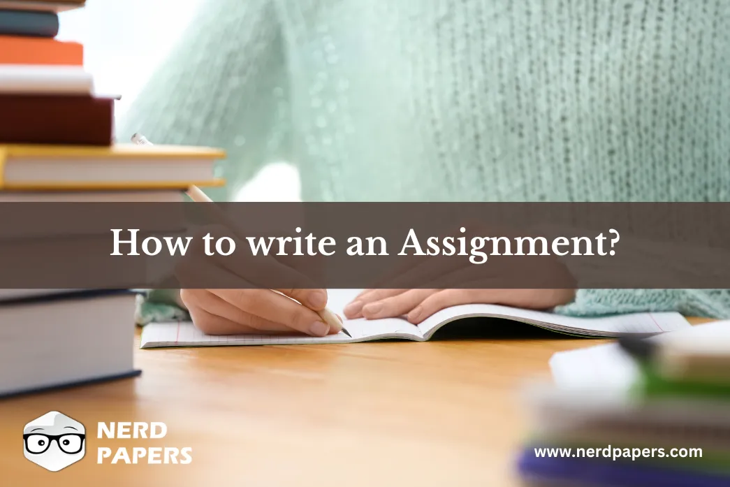 How to Write an Assignment Effectively in 2024 - Nerdpapers