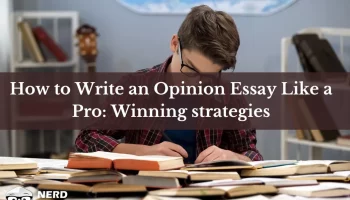 How to write an opinion essay like a pro