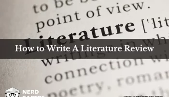 how to write a literature review